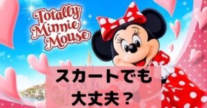 ディズニーでヒールや厚底は脚が痛くなる 疲労や痛みに注意 Dremical ドリミカル